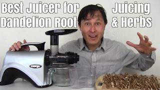 Best Juicer for Juicing Dandelion Root & Medicinal Herbs