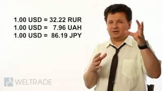 Видеоуроки Форекс. Обучение. WELTRADE | Урок 2. Базовая терминология (бесплатно)