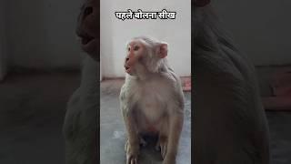 पहले बोलना सीख ले | बंदर नकल नहीं कर सकता#monkeycomedy #voice #funny #shortsfeed #shorts #shortvideo