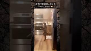 Skin walker Dogs ️