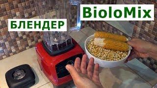 Профессиональный блендер Biolomix 2200 Вт – обзор + тест