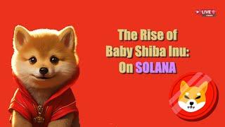 BABY SHIBA INU ON SOL | Andre Sherbina | JUNE 21, 2024