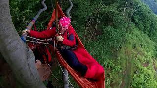 Hammock tree camping - 12 hours in the canopy