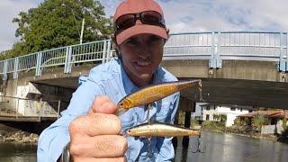 Tips on catching Mangrove Jacks around bridges