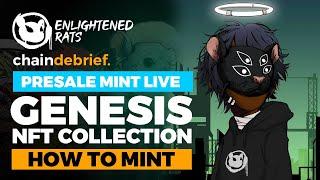 HOW TO MINT PRESALE ENLIGHTENED RATS NFT BY CHAIN DEBRIEF GENESIS NFT COLLECTION - mint NFTs Opensea