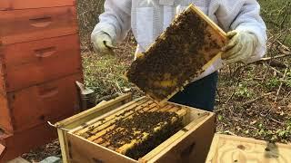 Beekeeping. When to add a honey super.