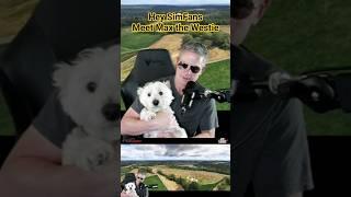 Hey SimFans, Meet My Dog Max, the West Highland White Terrier | #westie #dog   #westie