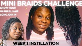 2 months mini braids challenge for massive hair growth on type 4 NATURAL HAIR achieve goals