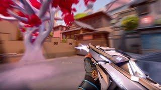 THE BEST CONSOLE VALORANT PLAYER SETTINGS+SENSITIVITY & CROSSHAIR For Radiant Aim - Console Valorant