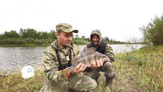 ВОТ ТАКИЕ КОНИ КЛЮЮТ. ЗАЕХАЛИ В ОЗЕРО НА ЛОДКЕ И НАЛОВИЛИ ОЧЕНЬ МНОГО РЫБЫ. РЫБАЛКА НА СЕВЕРЕ!!!