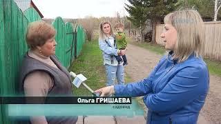 Собака покусала ребенка.