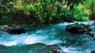 Relaxing River Sound calming Water For Proven to Cure Stress And Mental Disorders