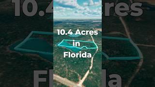 10.4 Acres of FLORIDA Land for Sale with a Spring-Fed Pond • LANDIO