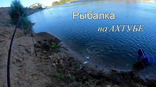 Рыбалка на донки в августе. Бешенная поклевка АМУРА чуть спиннинг не утянул.