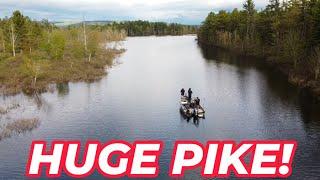 Northern Pike Fishing - Adirondacks, NY