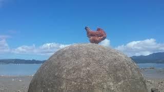 Historic Koutu Boulders