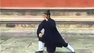 WUDANG TAICHI Quan 64 Forms by Wudang Master Tian Liyang