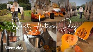 31. Peaceful day at home. Cozy Fall Cooking. Slow living in the Irish Countryside. Silent Vlog.