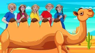 Alice the Camel  Nursery Rhymes & Kids Songs