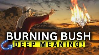 You NEVER KNEW THIS About the Burning Bush!