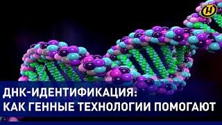 ДНК-идентификация: генные технологии помогают выявить болезни и патологии, найти преступника