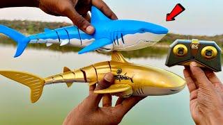 Fastest RC Tigerhead Shark Vs RC Golden Shark Unboxing - Chatpat toy tv