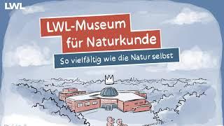 MindMap-Movie | LWL-Museum für Naturkunde - So vielfältig wie die Natur selbst