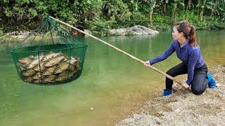 Ana used a green net to trap fish in a large stream. Unexpectedly, she caught a catch of fish.