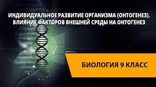 Индивидуальное развитие организма (онтогенез). Влияние факторов внешней среды на онтогенез