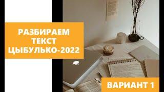 Разбор текста Цыбулько-2022 | вариант 1