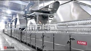 WFP-800 Non-fried instant noodle production line-DONGFANG NAOMU-Capacity:230000pcs /8 hours