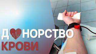 Донорство крови: проблемы донорства в России, как стать донором, зачем сдавать кровь