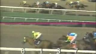 1994 Californian Stakes - The Wicked North