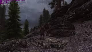 Skyrim SLMP GR  Final low fps