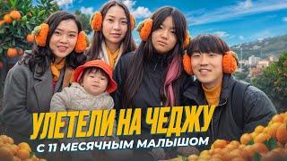 ПУТЕШЕСТВУЕМ ПО ЧЕДЖУДО ВСЕЙ СЕМЬЕЙ! Корея снова удивила! Виктория Ким