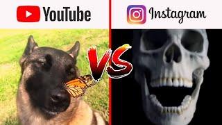 YouTube Comments VS Instagram Comments