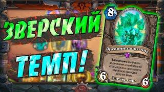 БИГ ДРУИД 2021! Hearthstone Закаленные Степями