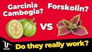 Forskolin vs Garcinia Cambogia – Which One Actually Works?