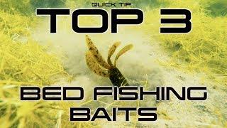 TOP 3 Bed Fishing Baits!