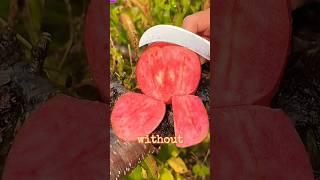 Fruits That Grow Without Soil 