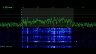 Polish Pirate Pip with Voice message 3825 kHz | Signal Phantom