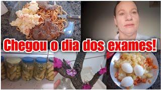 FORAM MUITAS EXPERIÊNCIAS TRAUMATICAS + FIZ CONSERVA DE PEPINOS! Vlog ️