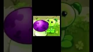 PLANTS VS ZOMBIES MEMES // THE SECRET LIFE OF THE SMOKE MUSHROOM AND THE PEASHOOTER