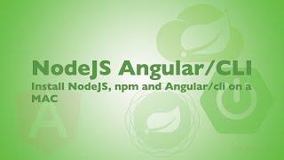 Install NodeJS and npm and angular/cli on MAC