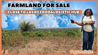 Farmland For Sale In Ogun State | Close To Lagos State Food & Logistic Hub | Farm District