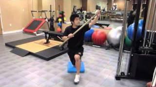 TMI Sports Medicine - Anti-Rotation Core Exercises