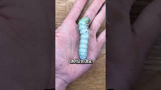 숲 속에서 발견한 알, 그 정체는?