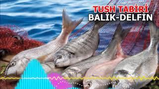 Delfin tushda  -Tushda balik ko'rsa ta'biri nima bo'ladi - Тушда Делфин куриш