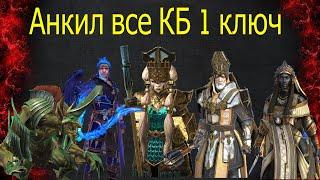 Анкил Raid 2022 все кб все цвета 1 ключ Демита Ловец Армстронг Туганарак Ниндзя