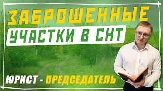 Заброшенные участки в СНТ | Как изъять земельный участок в СНТ?